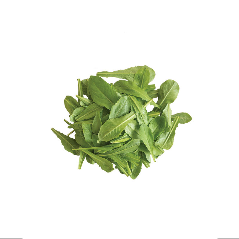 Catalogna Special Catalogna Special Italian Dandelion