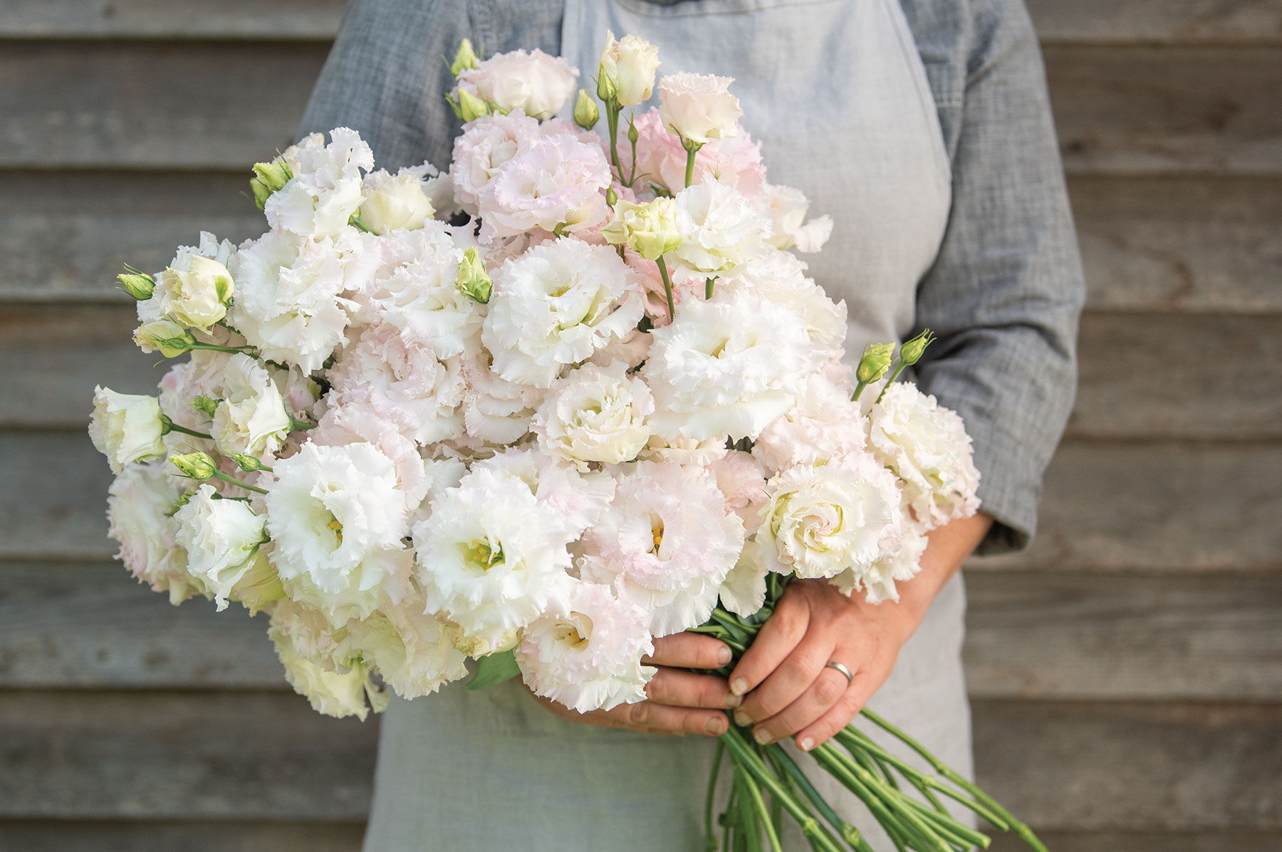 Voyage 2 First Love Lisianthus