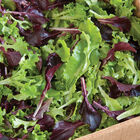 Five Star Greenhouse Lettuce Mix Lettuce Mixes