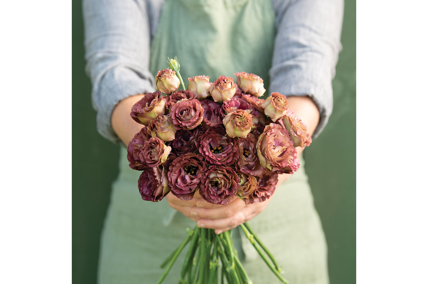 Lisianthus seeds shop