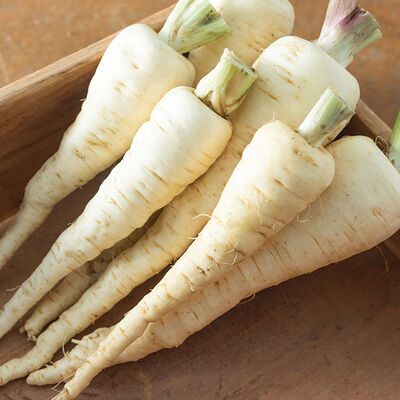 Albion Parsnips