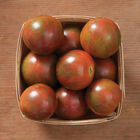 Purple Bumble Bee Specialty Tomatoes