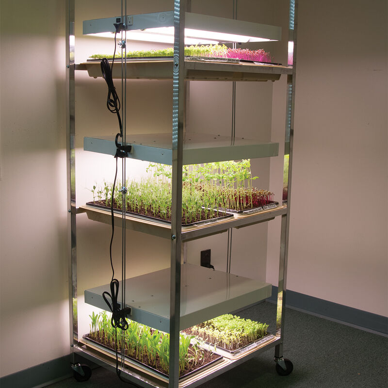 Compact Seedling Light Cart – 6 Trays, 240 Watts Grow Lights and Carts