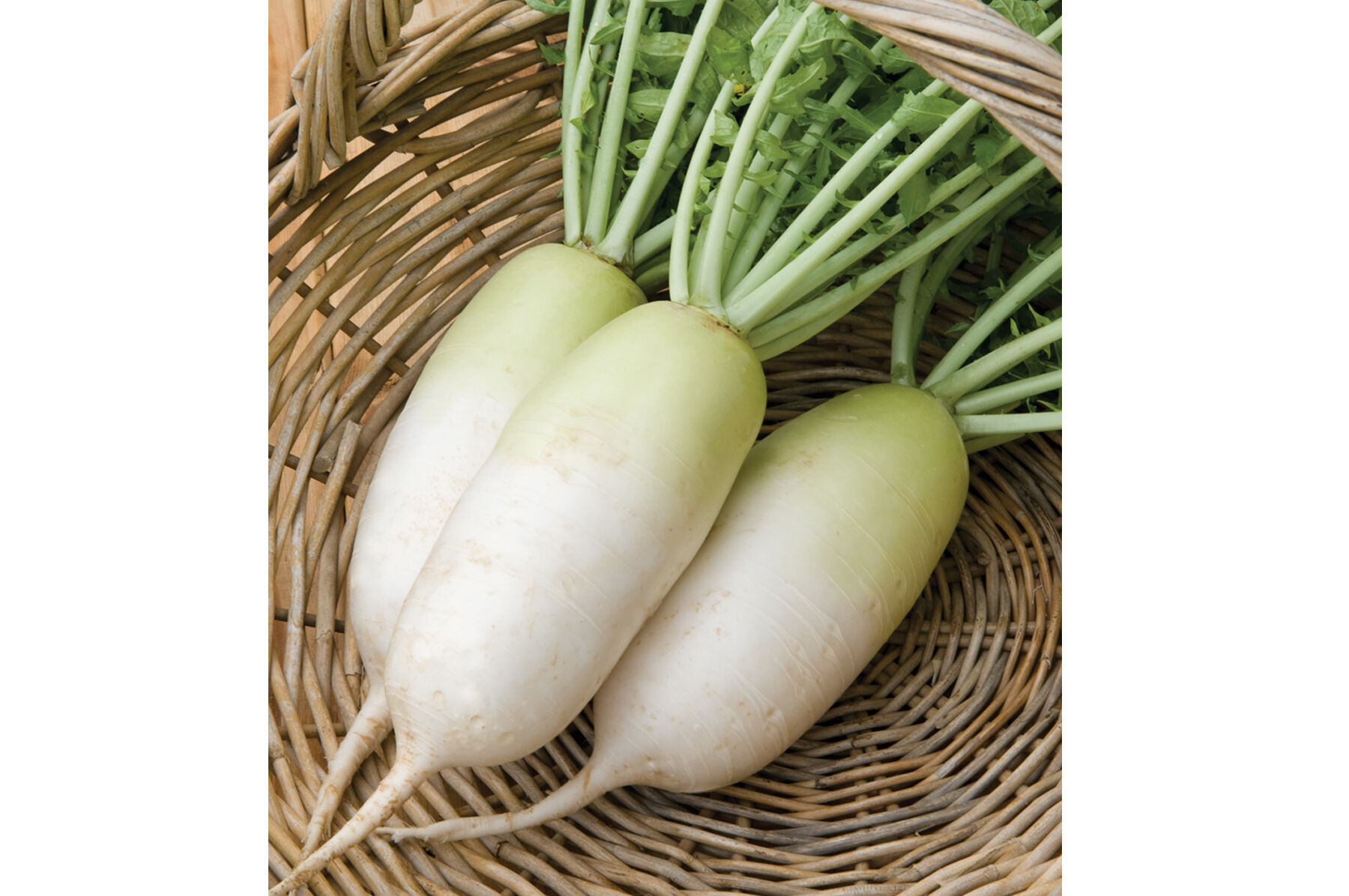 Alpine Daikon/Korean Radishes