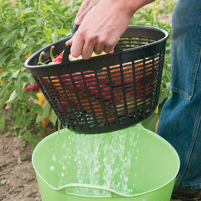 Small Gorilla Tub® Colander – Black Gorilla Tubs®