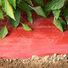 SRM Red Mulch – 4' x 100' Mulch Films