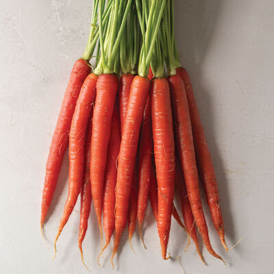 Rubypak Colored Carrots