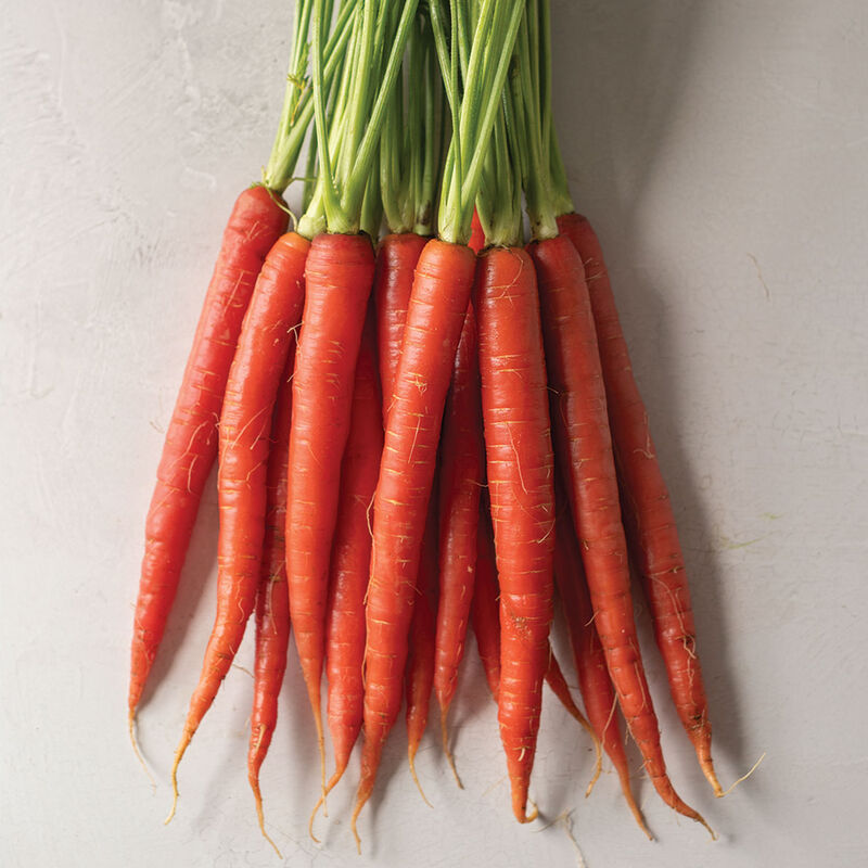 Rubypak Colored Carrots