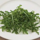 Bellezia Arugula (Roquette)