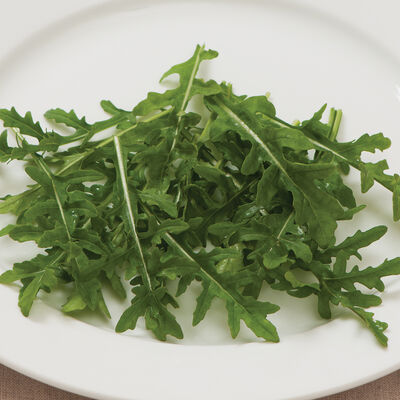 Bellezia Arugula (Roquette)