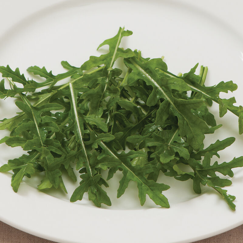 Arugula - Rocket Salat (Roquette) Heirloom Seeds