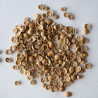 Santo Monogerm Cilantro (Coriander)