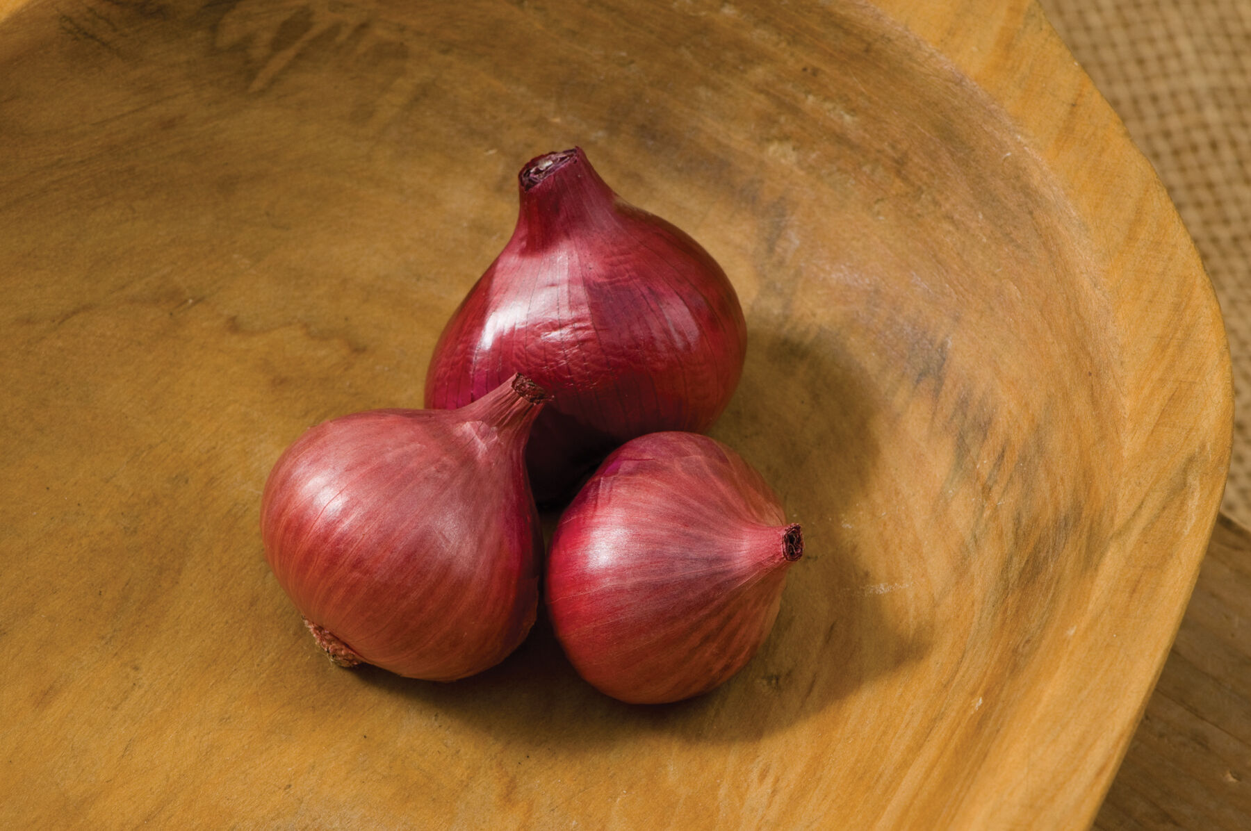 Camelot Shallots