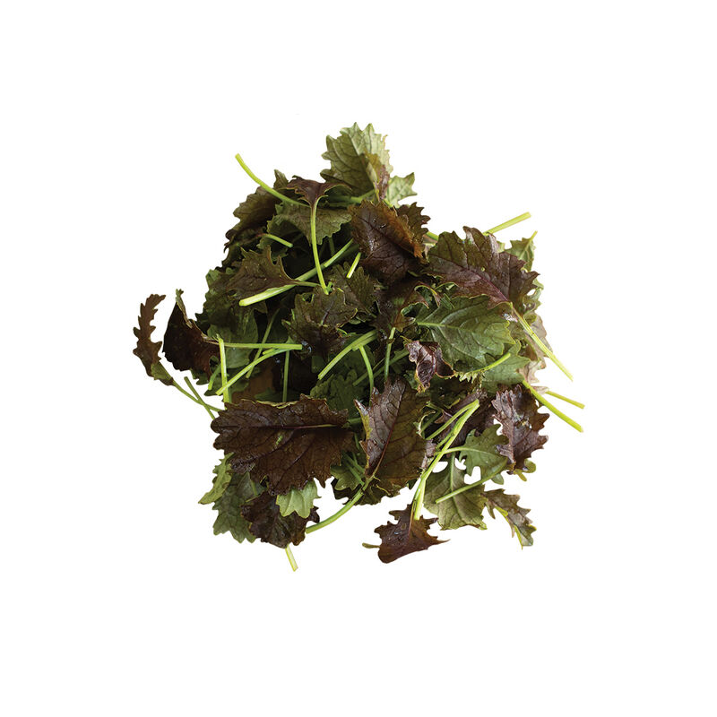 KX-1 Kale