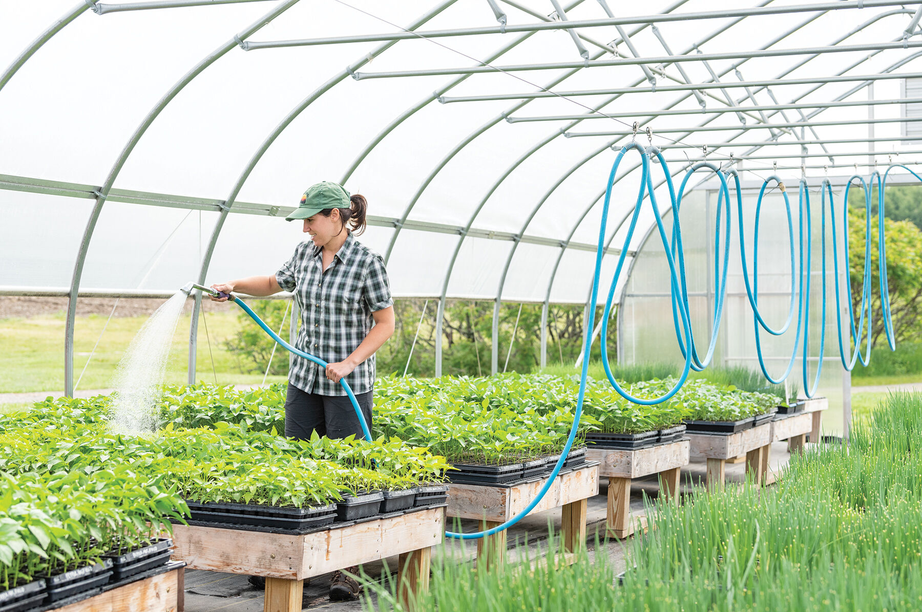 Hi-Hose Watering System &ndash; 100' Watering and Irrigation