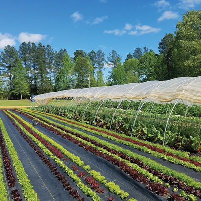 Sunbelt Black Ground Cover – 3' x 100' Sunbelt Black Ground Cover – 3' x 100' Fabric Mulch