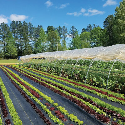 Sunbelt Black Ground Cover – 4' x 300' Sunbelt Black Ground Cover – 4' x 300' Fabric Mulch