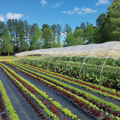 Sunbelt Black Ground Cover – 4' x 100' Sunbelt Black Ground Cover – 4' x 100' Fabric Mulch