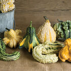 Gremlins Gourds