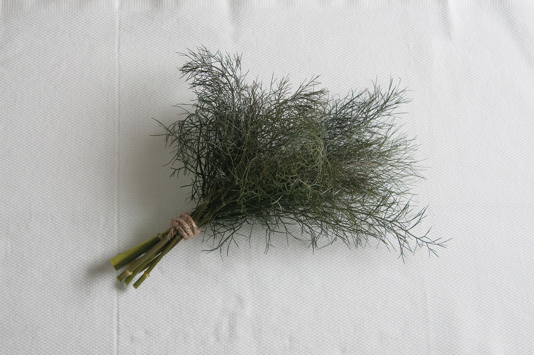 Bronze Herbs for Salad Mix