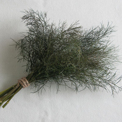 Bronze Bronze Herbs for Salad Mix
