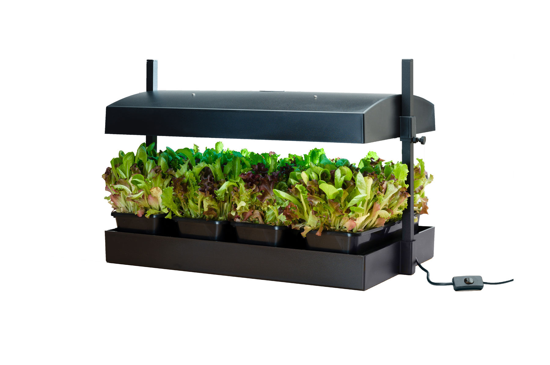 Seed starter kit with grow light on sale