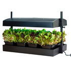 SunBlaster Growlight Garden Seed Starter Kits