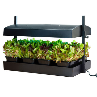 SunBlaster Growlight Garden Seed Starter Kits