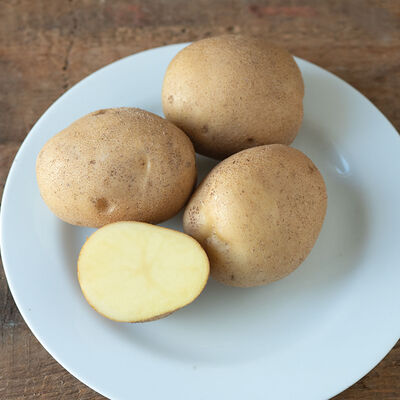 LeHigh Potatoes