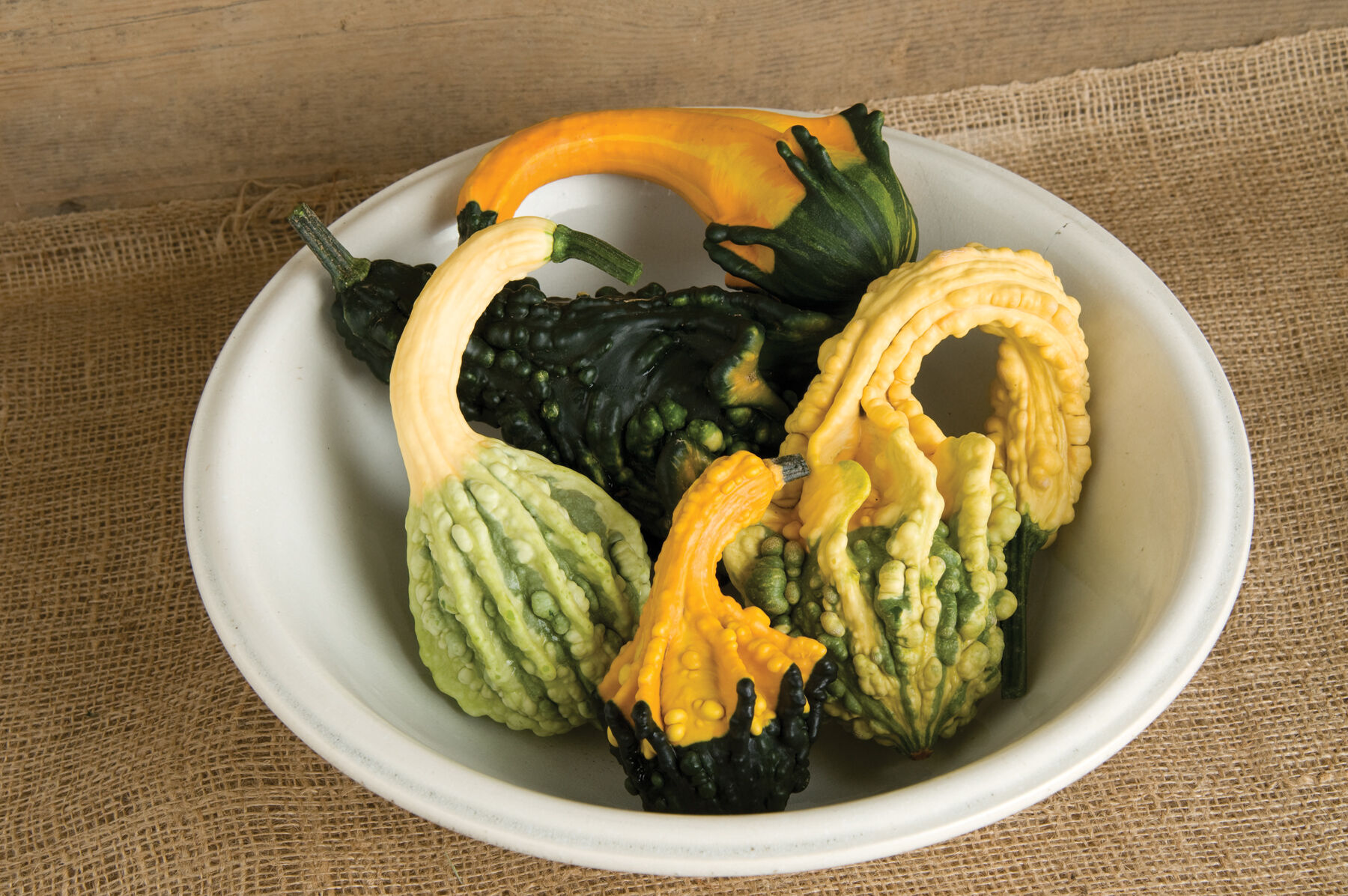 Autumn Wings Blend Gourds