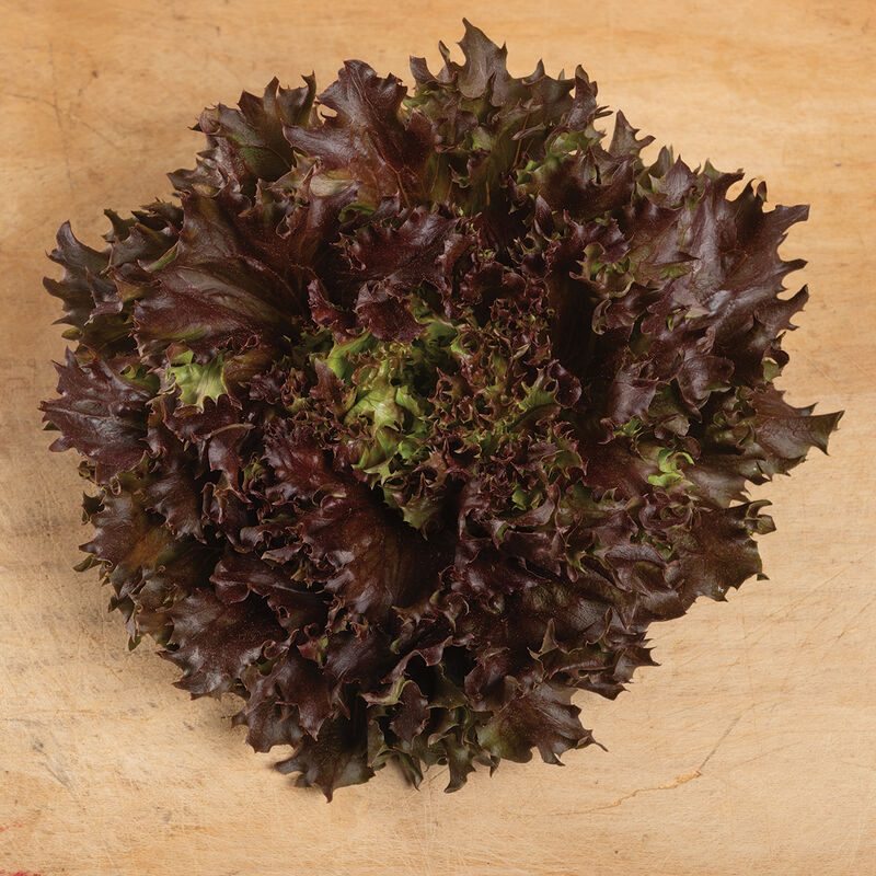 Rubygo Rubygo One-Cut Lettuce
