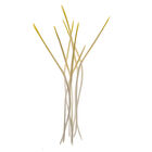 Popcorn Shoots