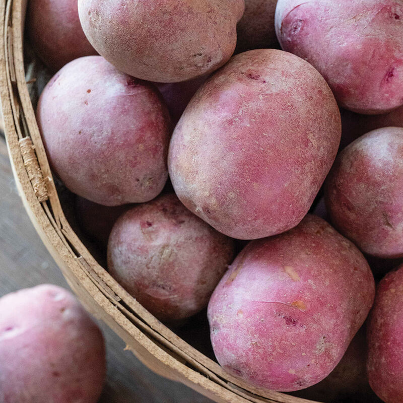 Red Port Potatoes
