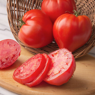 Cauralina Specialty Tomatoes