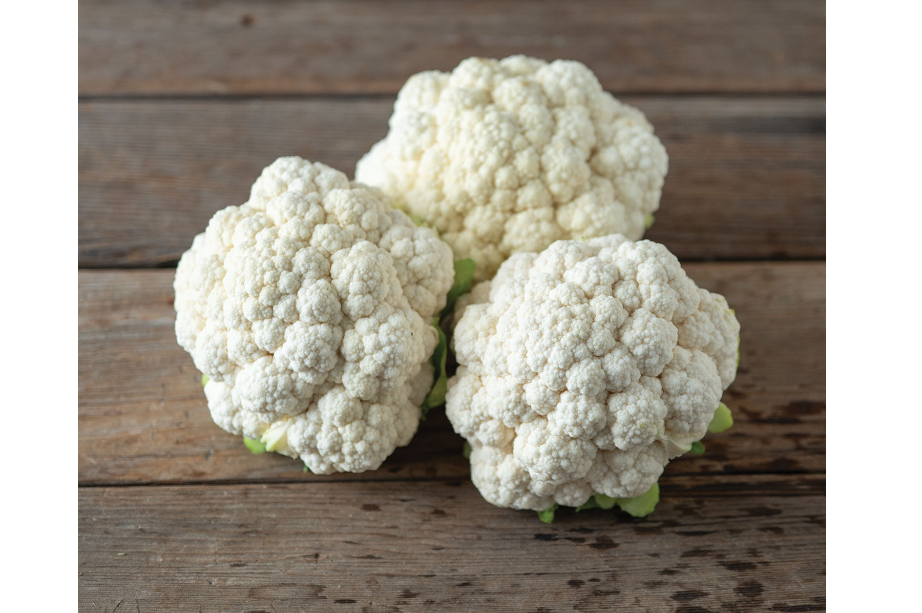 ふじやま　 Fujiyama - (F1) Cauliflower Seed | Johnny's Selected Seeds