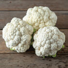 Fujiyama Standard Cauliflower