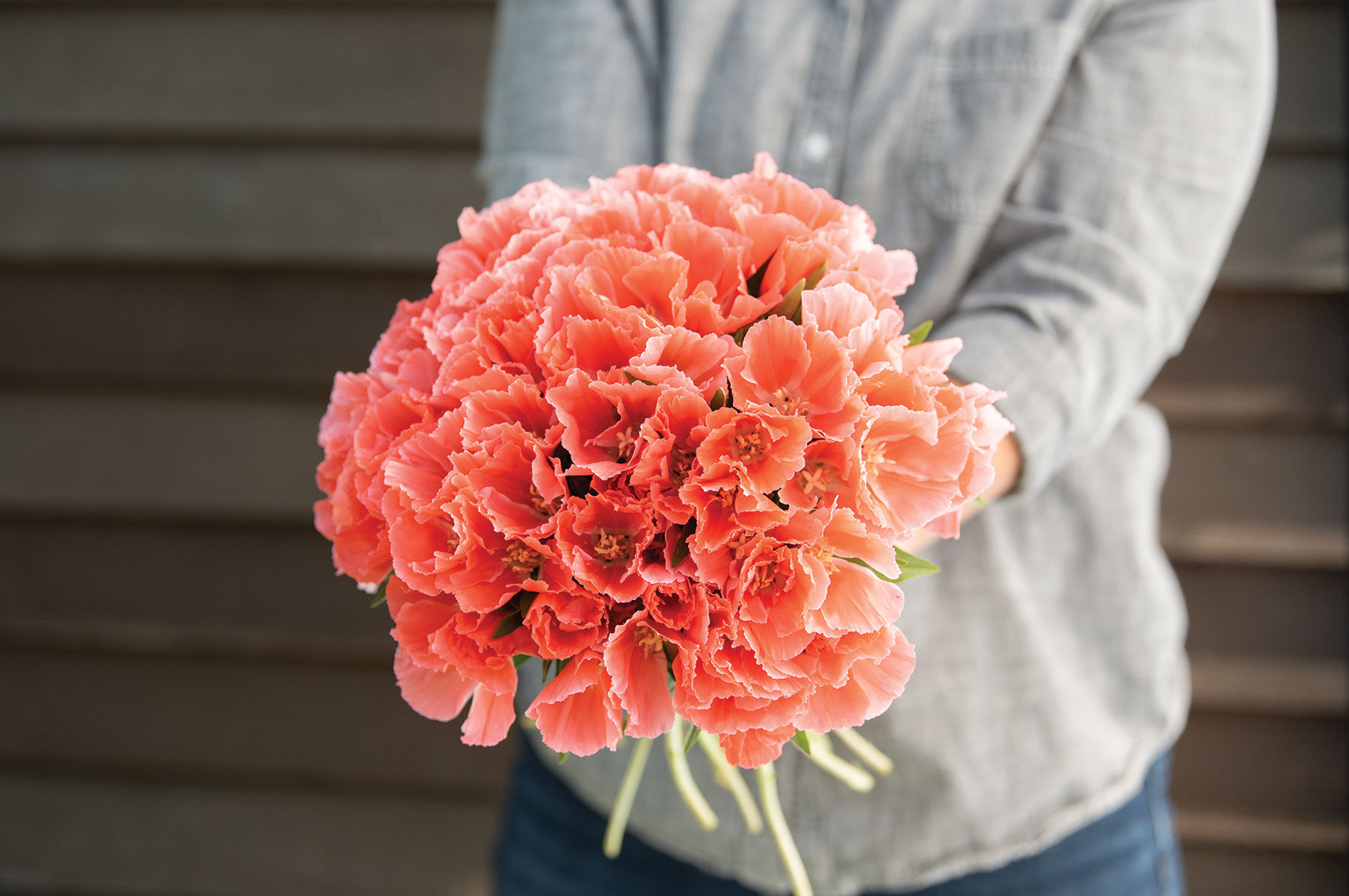 04660_01_gracesalmon.jpg?sw=