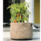 Smart Pot® Natural – 10 Gal. Grow Bags