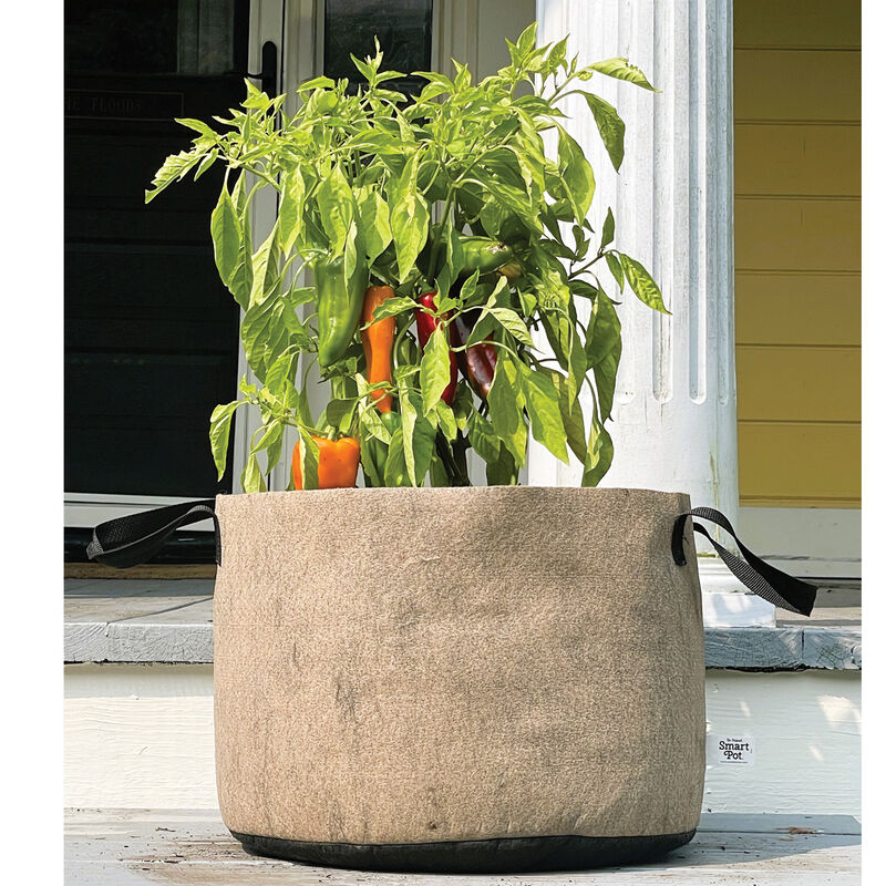 Smart Pot® Natural – 10 Gal. Grow Bags