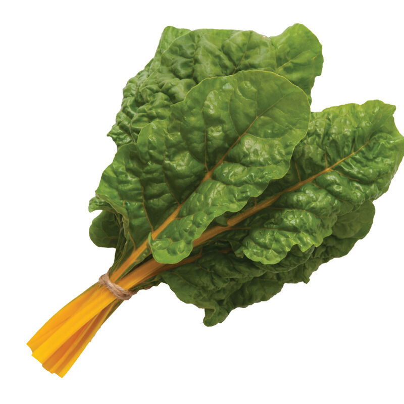 Orange Ribbed - Organic Swiss Chard Seed | Johnny'S Selected Seeds