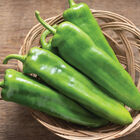 Charger Hot Peppers