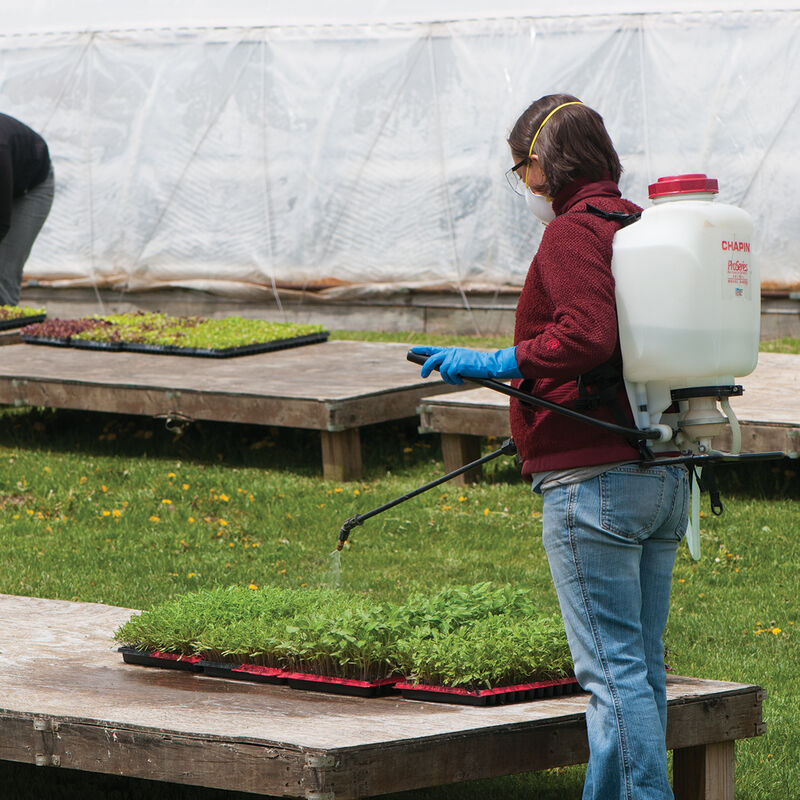 Chapin 4 Gal. Backpack Sprayer Sprayers and Dusters