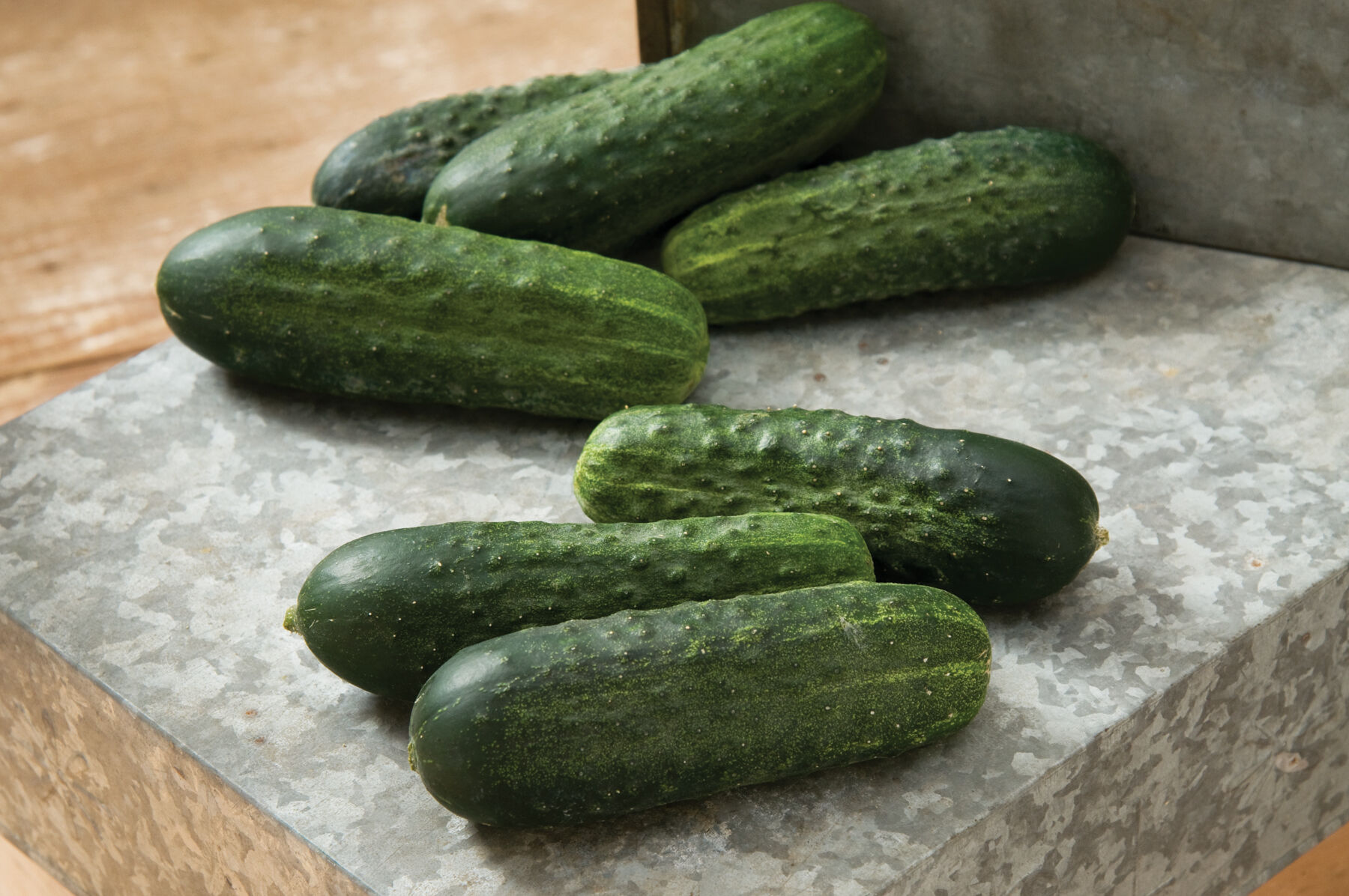 Excelsior - Organic (F1) Cucumber Seed | Johnny's Selected Seeds