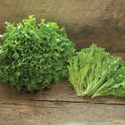 Intercut One-Cut Lettuce