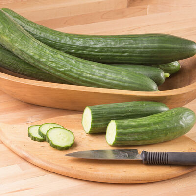 Poniente Seedless and Thin-skinned Cucumbers