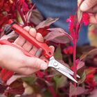 ARS SE45 Floral Shears Shears & Scissors
