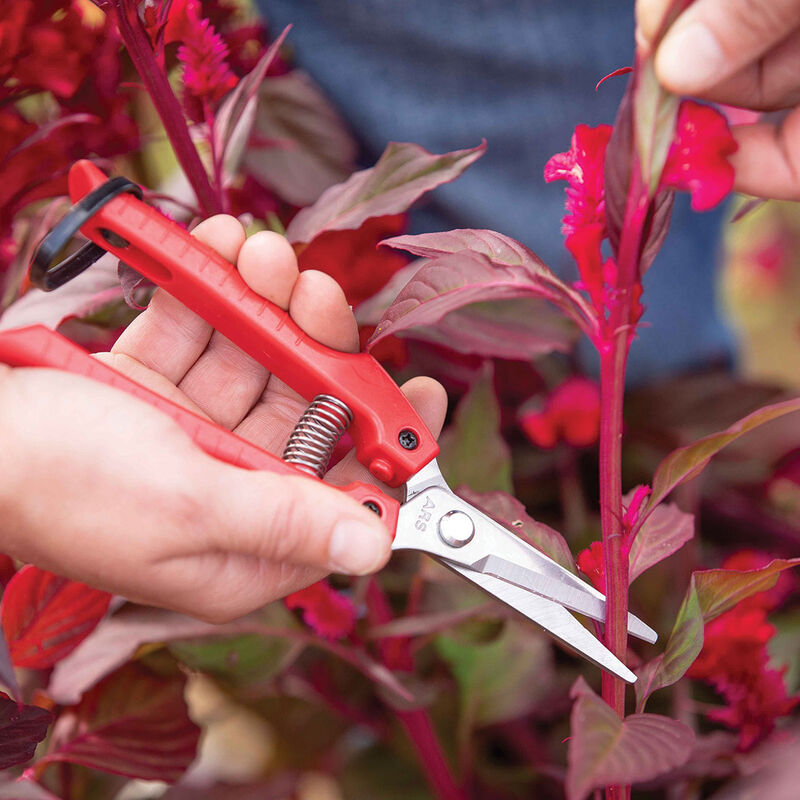 ARS SE45 Floral Shears Shears & Scissors