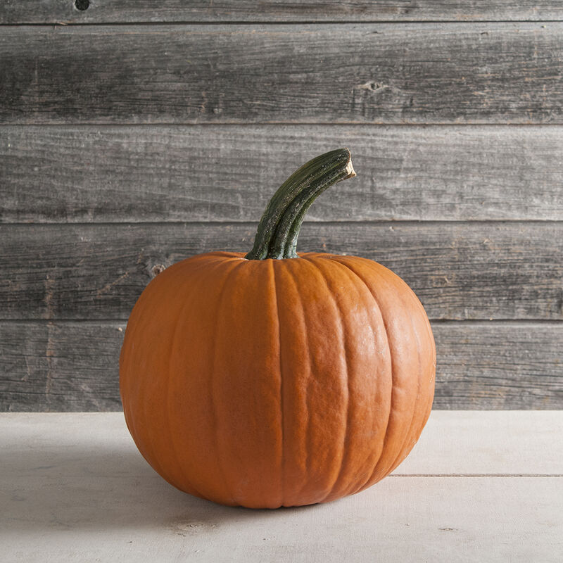 Racer Racer Jack-o-Lanterns