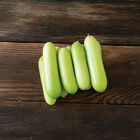 Gimlet Specialty Cucumbers
