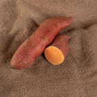 Covington Sweet Potatoes